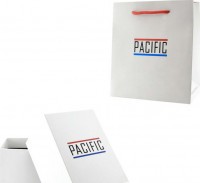 Наручные часы pacific x6176-07 корп-хром циф-бел сер ремень