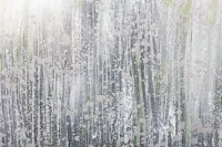 Картины Tomas Stern 81007