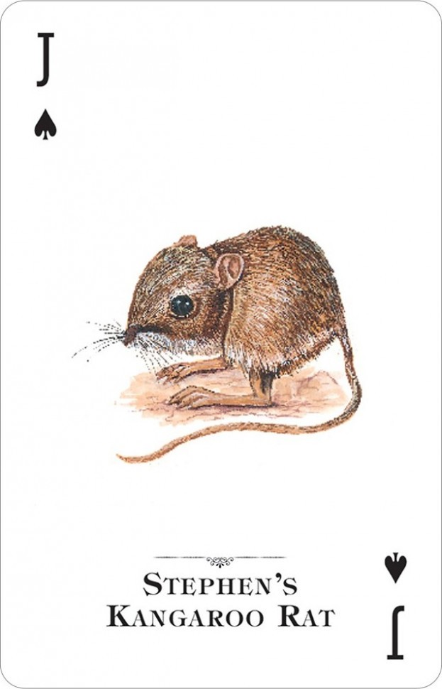 Карты "Endangered Species of the Natural World Playing Cards"
