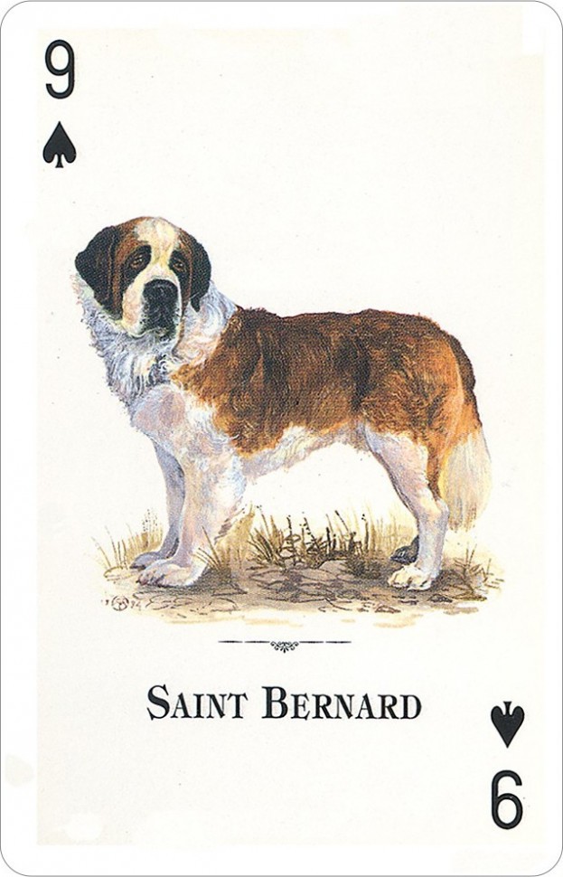 Карты "Dogs of the Natural World Playing Cards"