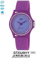 Наручные часы q&amp;q   gt23 j001