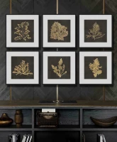 Картины Tomas Stern 87068