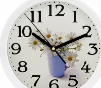 Настенные часы Алмаз Е127