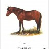 Карты "Horses of the Natural World Playing Cards"