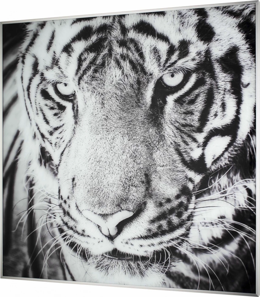 Картины Tomas Stern 87020