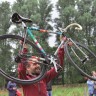 Наклейка на раму велосипеда forest