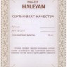 Набор фишек для нард "Герб РФ" с бронзой 206, Haleyan