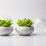 Контейнер для хранения ватных палочек lotus, белый/зеленый