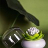Контейнер для хранения ватных палочек lotus, белый/зеленый