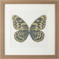 Картины tomas stern 83011